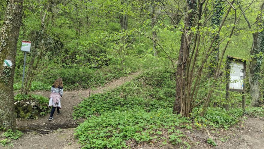 Entrance to the educational trail in Zimny Dół Reserve