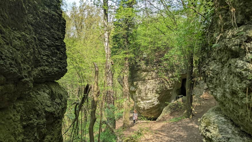 Zimny Dół - educational trail