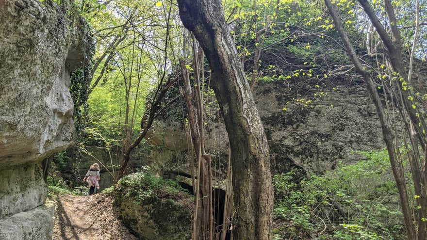 Rezerwat Zimny Dół - ścieżka dydaktyczna