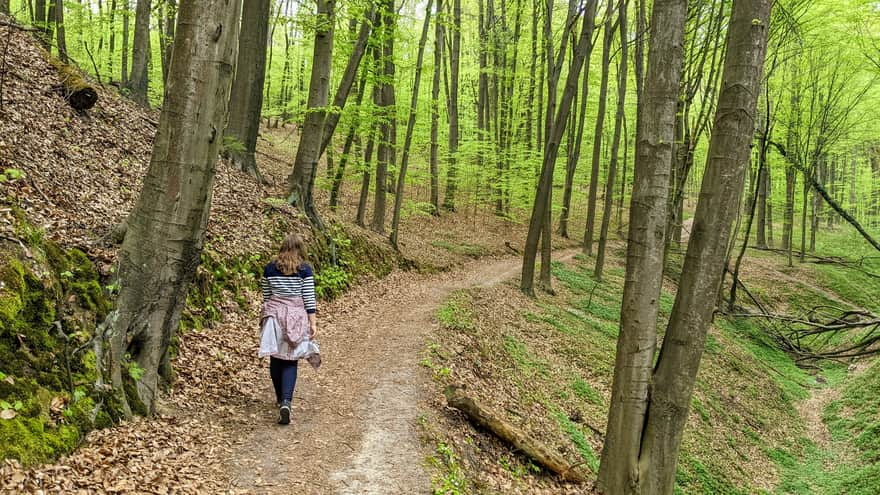 Półrzeczki Gorge