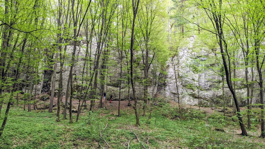 Półrzeczki Gorge - view of the rocks