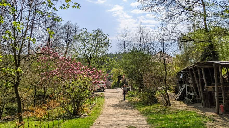 Trail to Półrzeczki Gorge