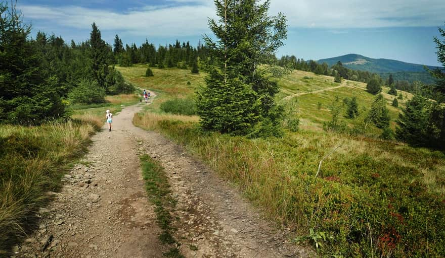 Mountain trails for family hikes near Krakow