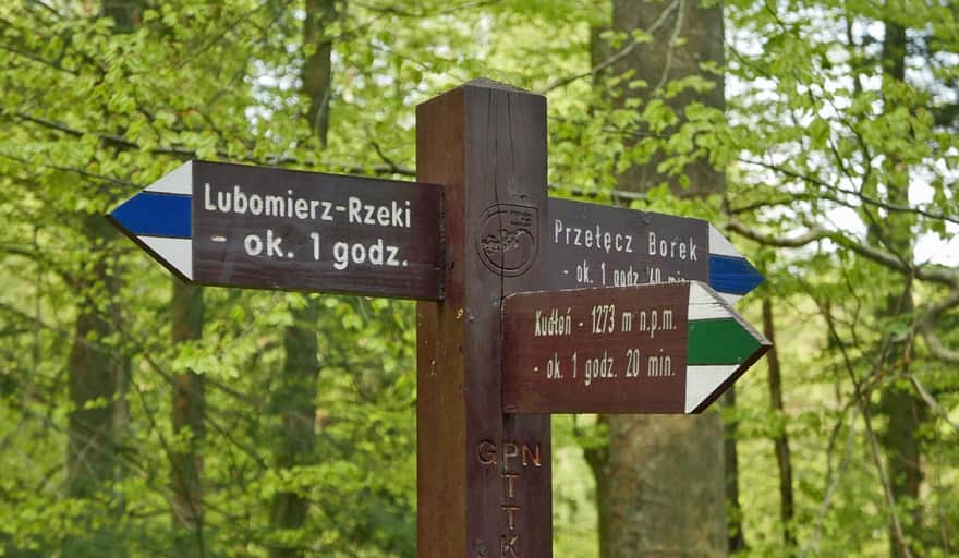 Valley of Kamienica, green trail to Kudłoń