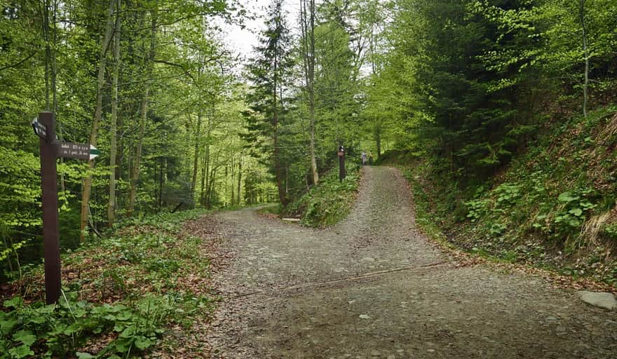 Valley of Kamienica - intersection with the green trail to Kudłoń (right), the blue trail through the Valley of Kamienica continues to the left