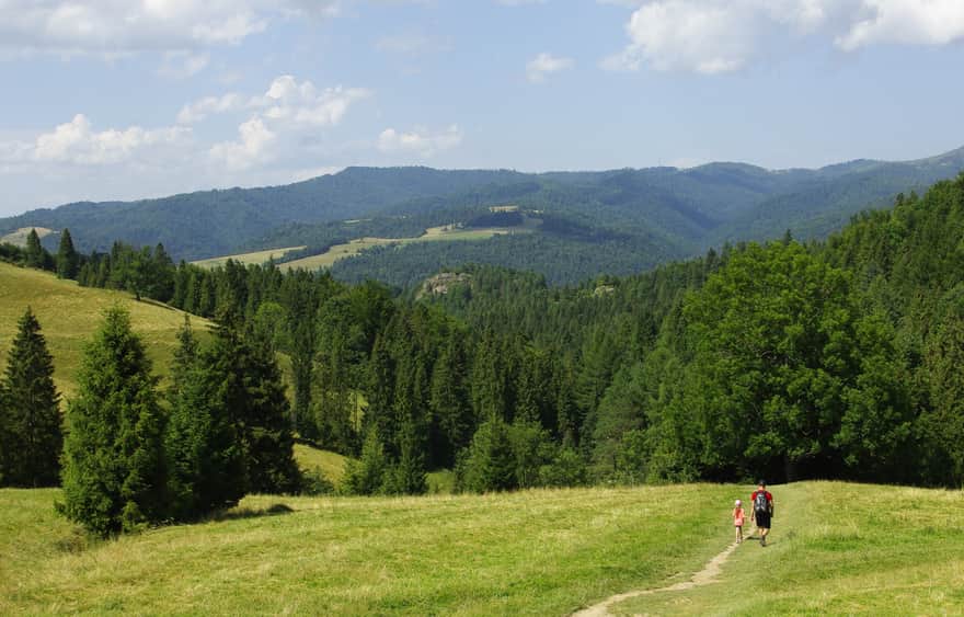 Pieniny - walking along the ridge of the Small Pieniny Mountains
