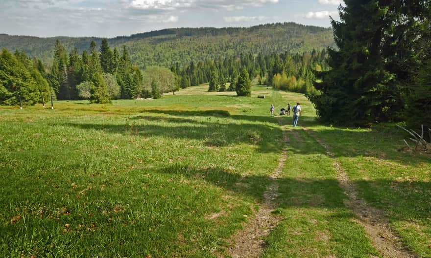 Polana Stawieniec - widok z górnej czesci polany