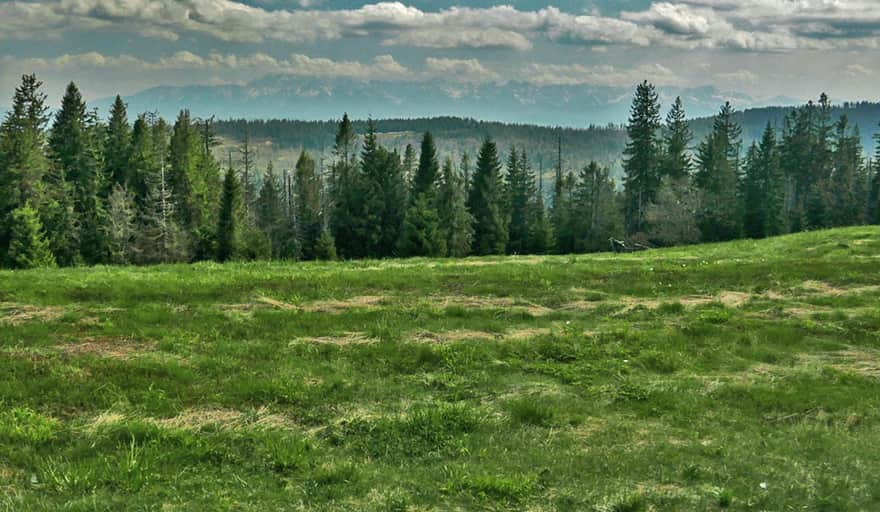 Polana Gorc Troszacki - widok na Tatry