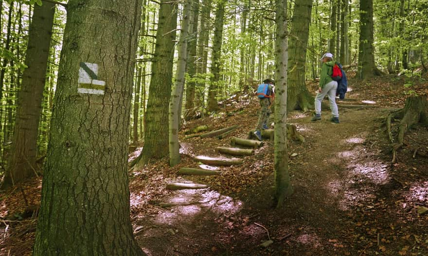 Ascent to Jaworzyna