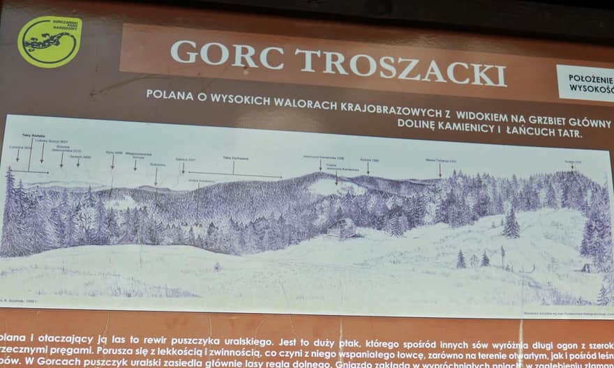 Description of the panorama from Gorc Troszacki meadow