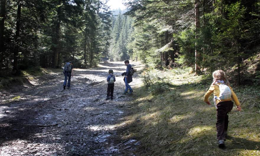 Yellow trail to Stare Wierchy. Road uphill along the stream