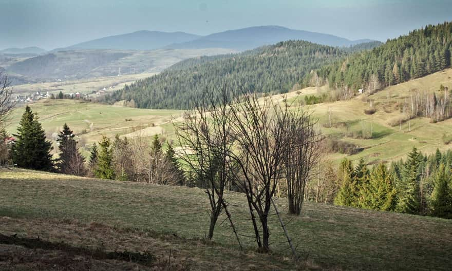 Żółty szlak na Stare Wierchy. Pierwsza polana i pierwsze widoki!