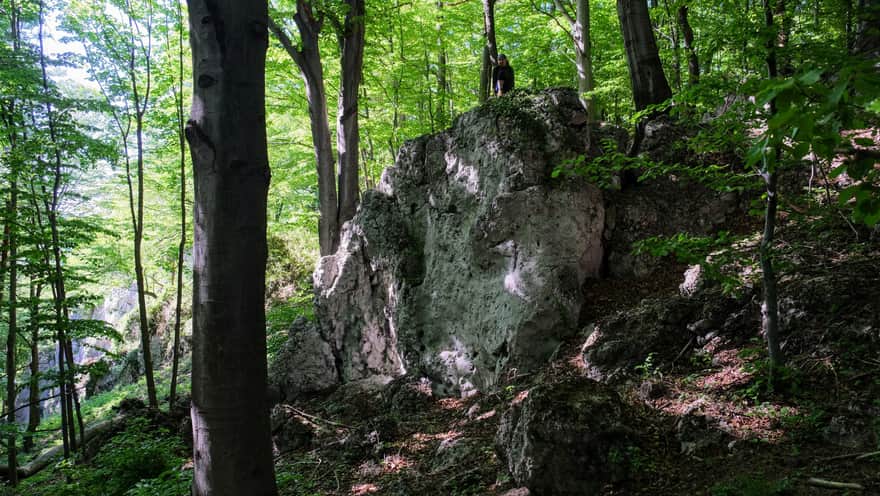 Rezerwat Dolina Szklarki - czerwony szlak