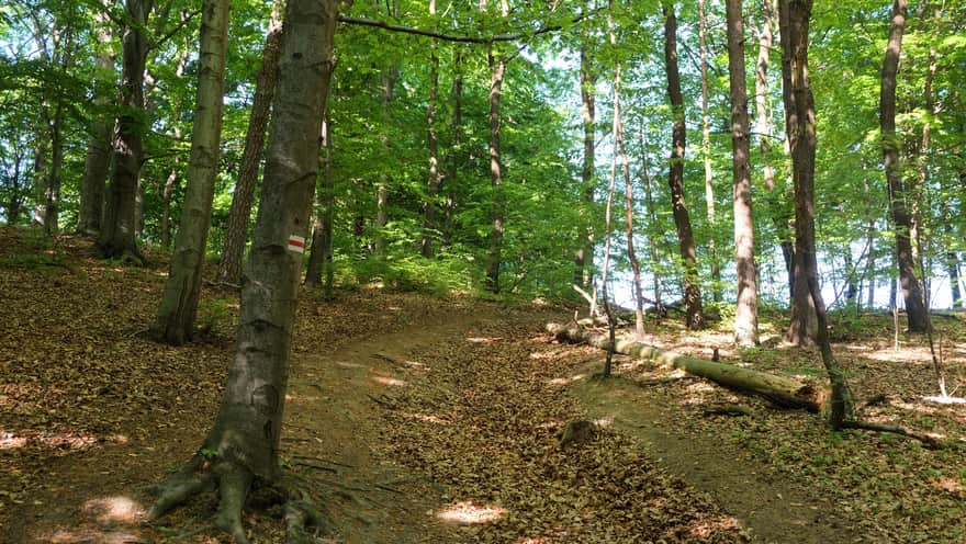 Rezerwat Dolina Szklarki - czerwony szlak