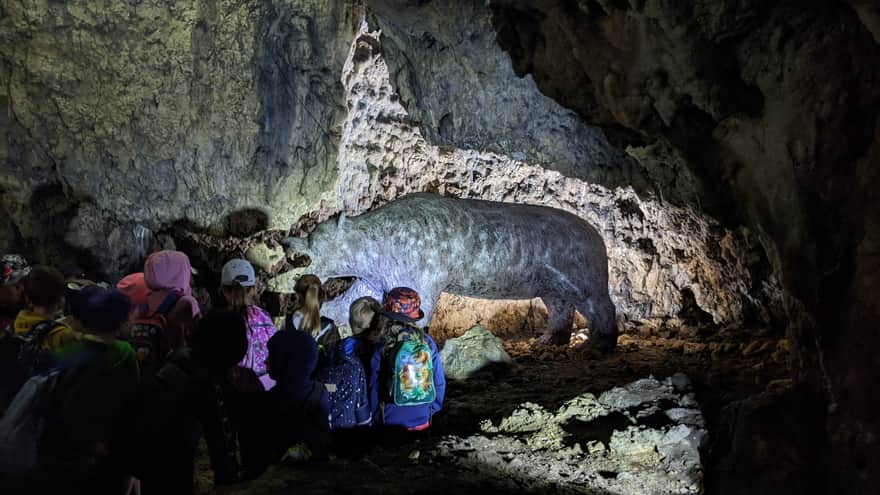 Jaskinia Nietoperzowa - niedźwiedź jaskiniowy