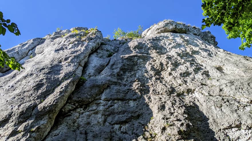 Rezerwat Dolina Szklarki - Łyse Skały