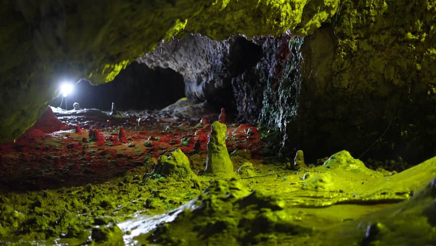 Jaskinia Nietoperzowa - stalagmity