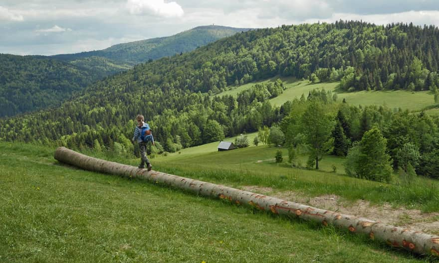 Okólczyska Glade above Przysłopek Pass, view to the south and the tower on Gorce