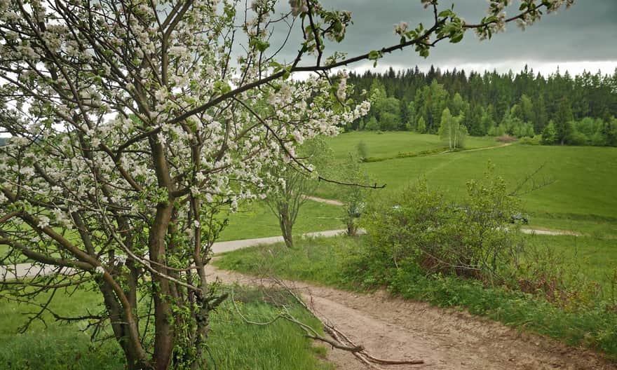 Przysłopek Pass
