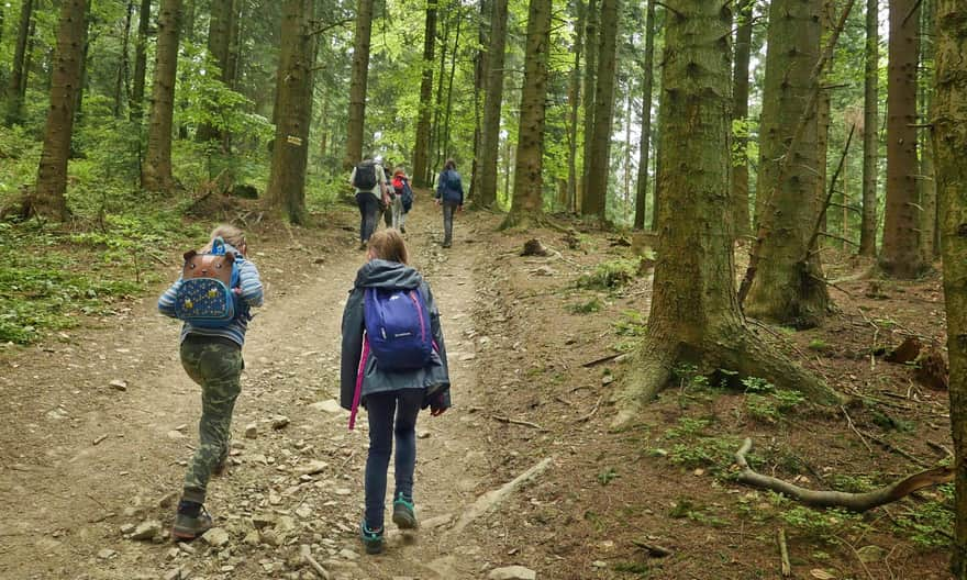 Przysłopek - Jasień. Yellow trail