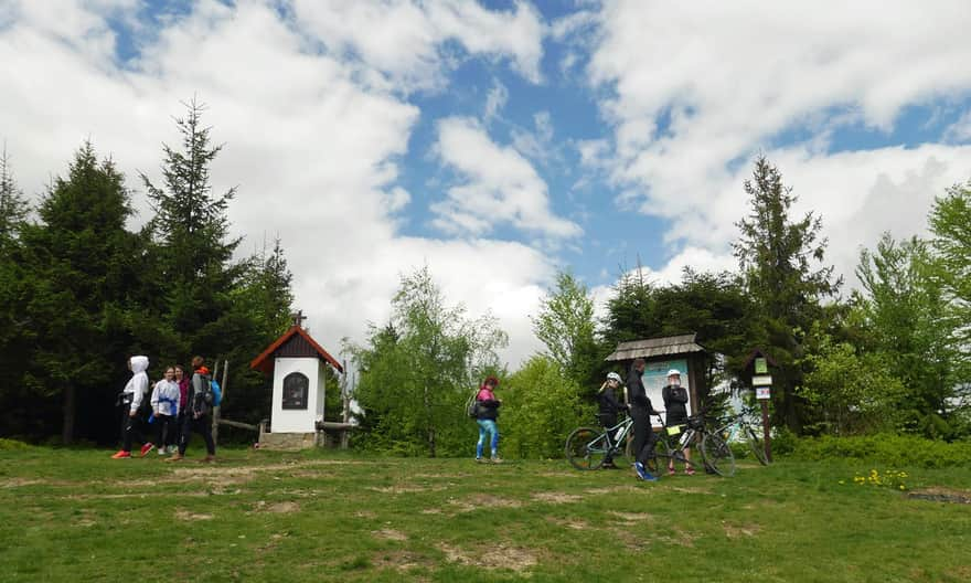 Skalna Glade, Kutrzycę - at the summit