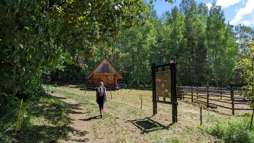 Green trail to Sodowa Góra