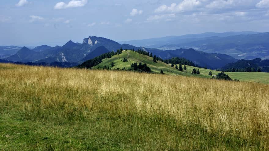 Trail along the ridge of Little Pieniny - view of Trzy Korony