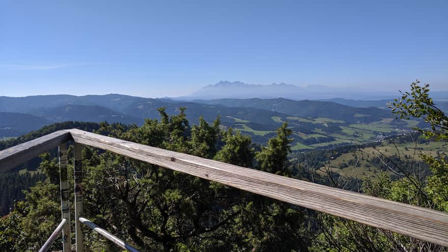 Wysoka - widok ze szczytu na Tatry