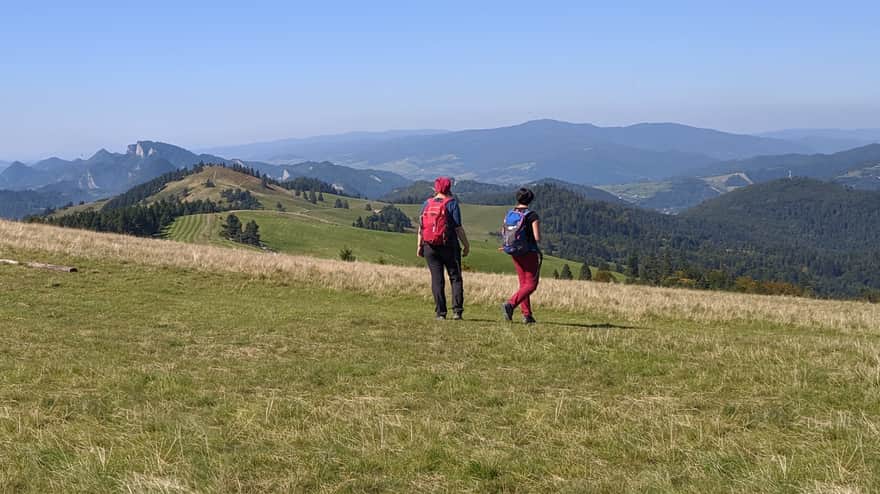 Trail along the ridge of the Small Pieniny Mountains