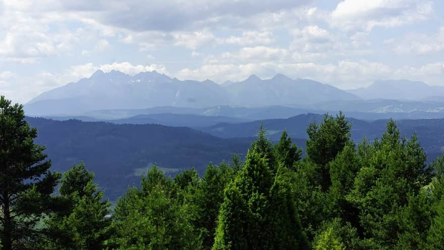 View of the Tatra Mountains from the trail along the ridge of the Small Pieniny Mountains