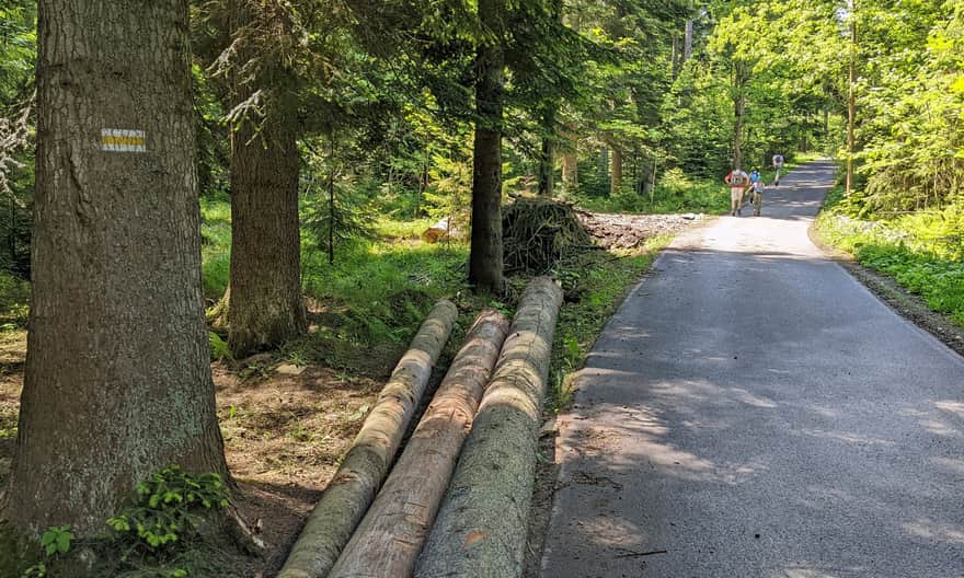 Początek żółtego szlaku z Korbielowa na Halę Miziową i Pilsko