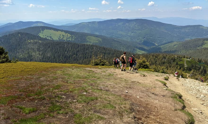 Widoki ze szlaku granicznego nad Halą Miziową