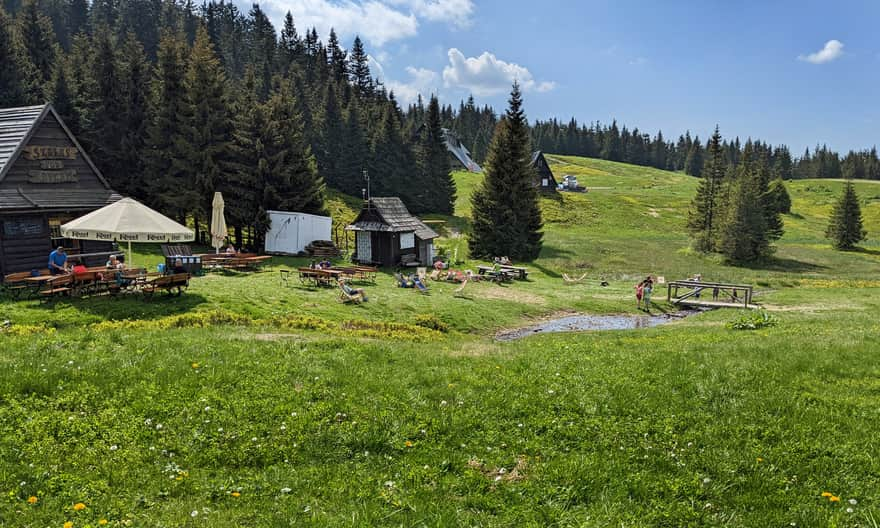 Hala Miziowa, "Pod Kopcem" shelter, cooling off in the mountain stream.