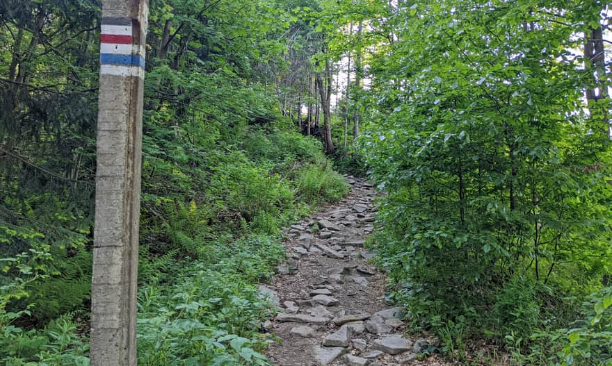 Border Trail: Glinne Pass - Hala Miziowa