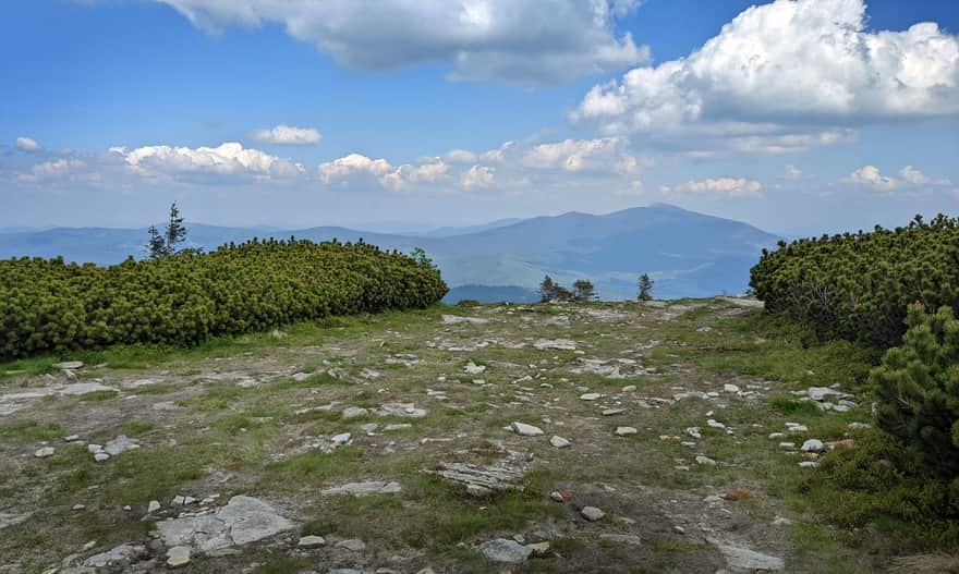 Babia Góra from the Mountain of Five Mounds (lower summit of Pilsko)