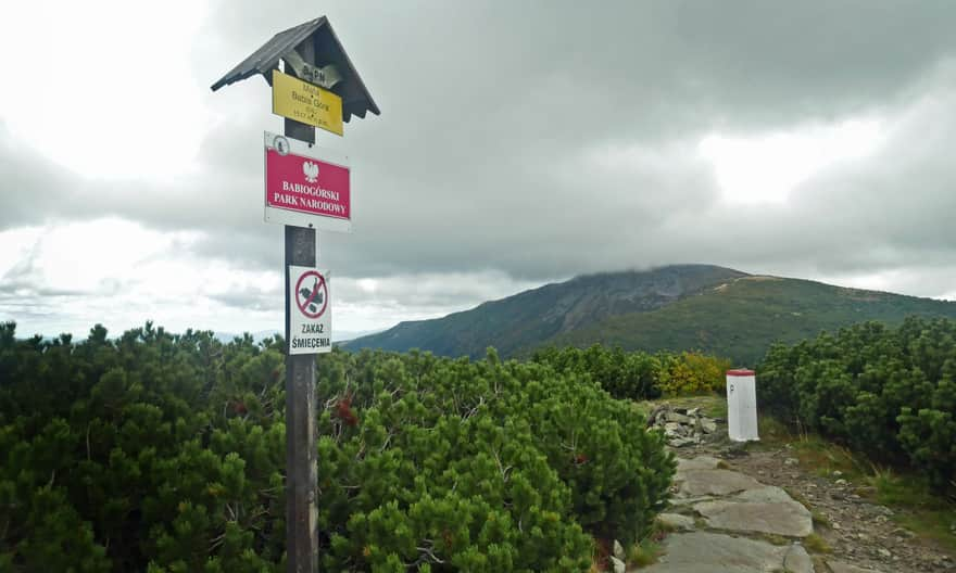 Malá Babia Góra - summit