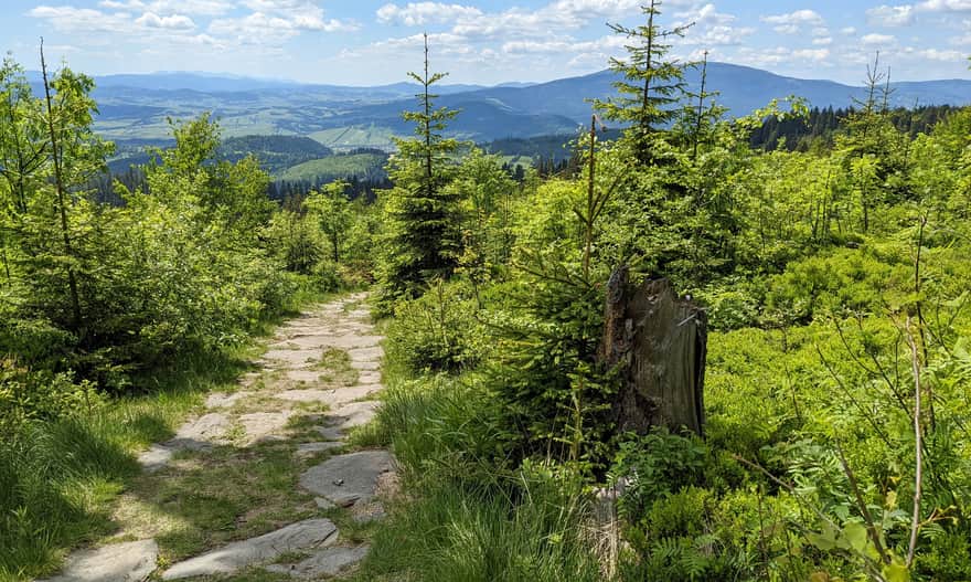 Views from the yellow trail Slana Voda - Babia Góra