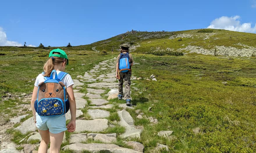 Yellow trail - the final ascent to the summit