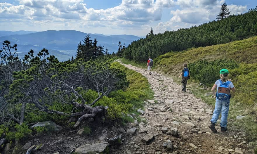 Descent from Babia Góra to Slana Voda via the yellow trail