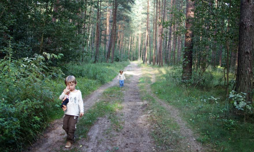 Żółty szlak Jantarowy