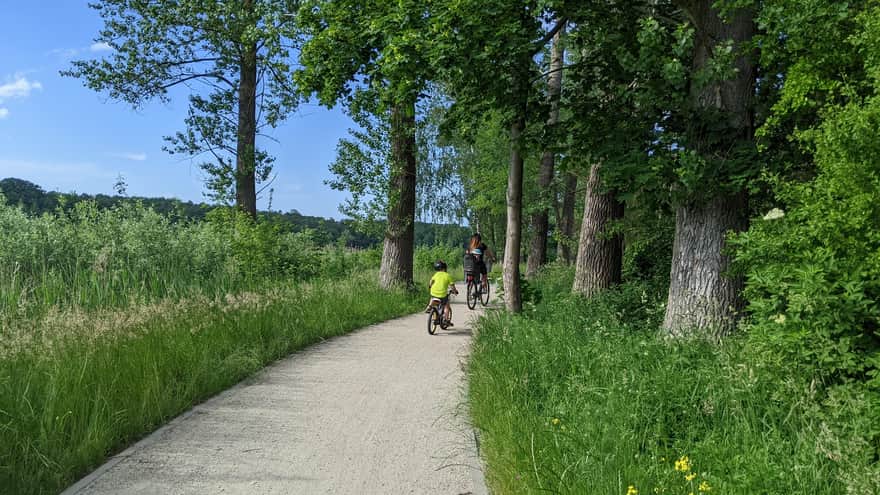 Ścieżka rowerowa wokół jeziora w Nowogardzie