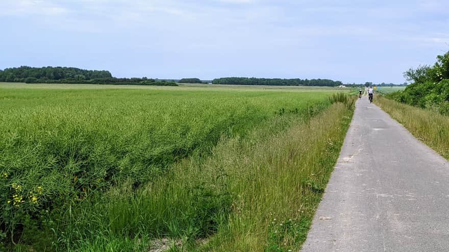 Trasa rowerowa Trzebiatów - Mrzeżyno