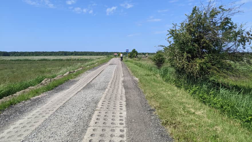 Trasa rowerowa Trzebiatów - Mrzeżyno: niewygodne yumby