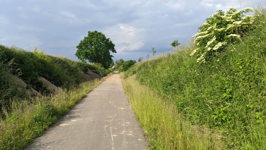 Trasa rowerowa Trzebiatów - Mrzeżyno: przejazd wąwozem