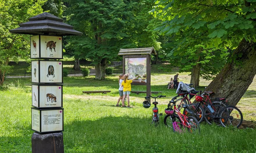 Polana przy ośrodku edukacyjnym Ojcowskiego Parku Narodowego