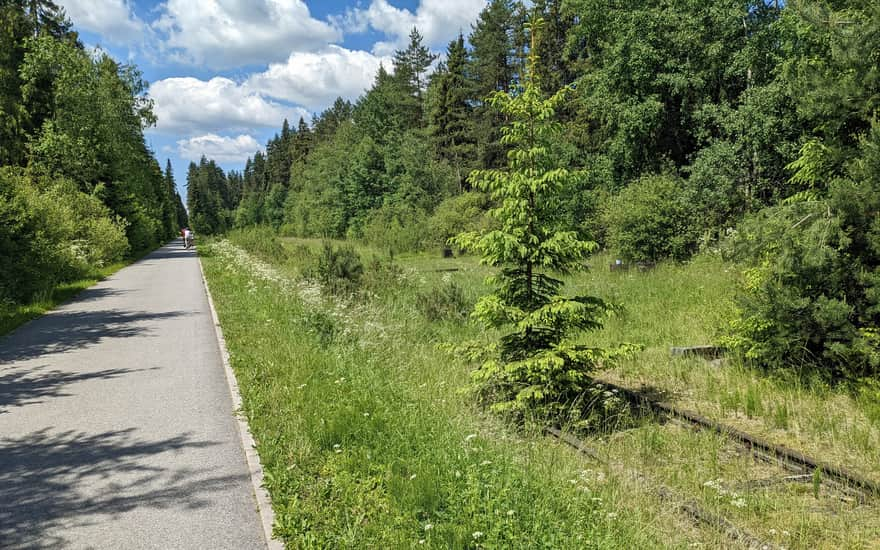 Szlak wokół Tatr, leśna droga w Nowym Targu. Urwany tor kolejowy