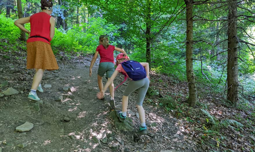 Green Trail from Sucha Polana to PTTK Shelter on Kudłacze Glade. One of the few steep ascents