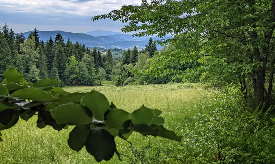 Babia Góra from the Black Trail from Kudłacze to Łysina