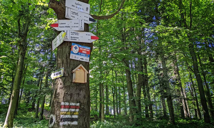 Łysina, skrzyżowanie szlaków pod szczytem