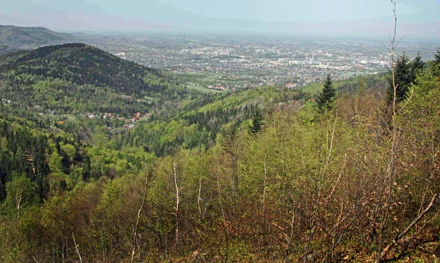 Blue trail to Magurka Wilkowicka from Przełęcz Przegibek - view of Bielsko-Biała